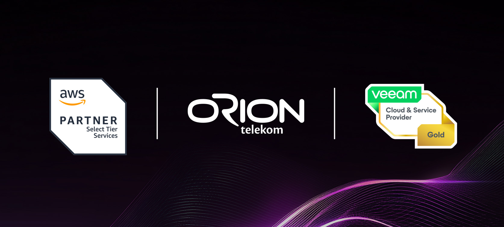 AWS Select Partner i Veeam Gold Partner